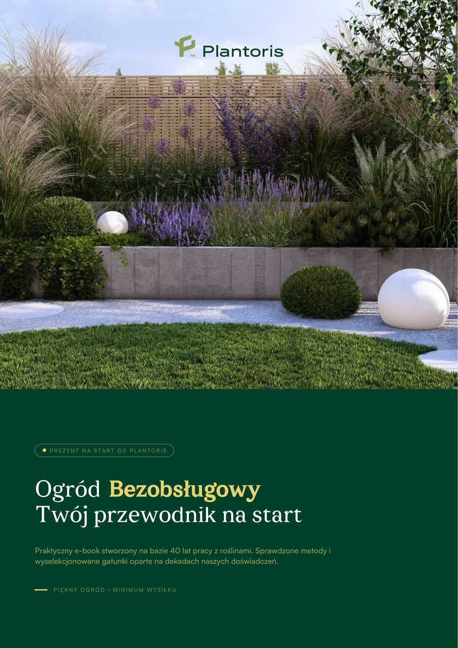 Okładka e-booka „Ogród bezobsługowy. Twój przewodnik na start”